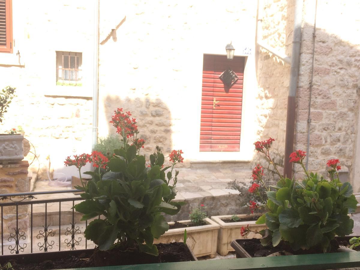 Apartment Ozana Κότορ Εξωτερικό φωτογραφία